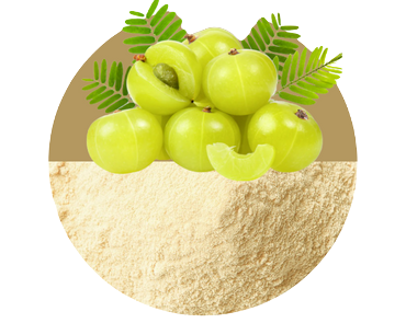 Amla Powder