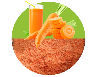 Carrot Juice Powder