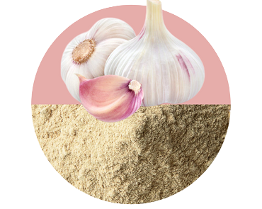 Garlic Powder