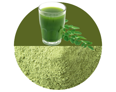 Moringa Leaf powder