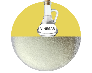 Vinegar Powder